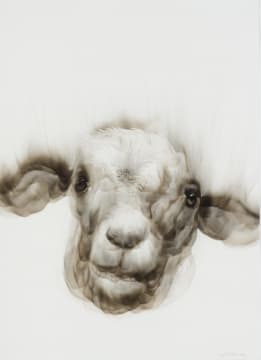 Diane Victor; Lamb II