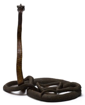 Owen Ndou; Cobra