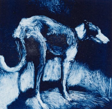 Clare Menck; Windhond