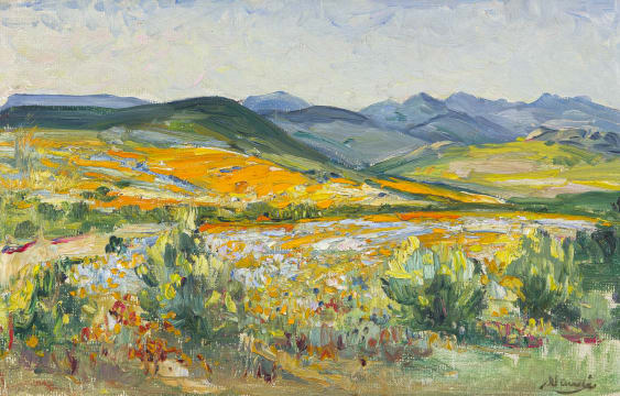 Hugo Naudé; Namaqualand