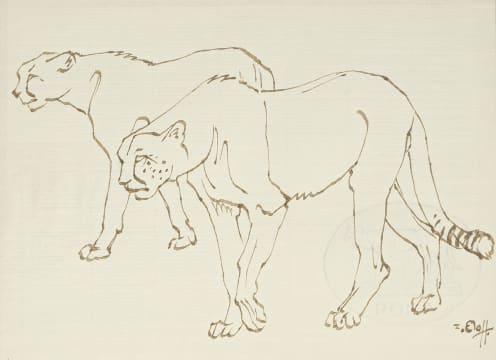 Zakkie Eloff; Cheetah II