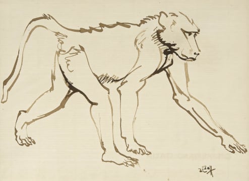 Zakkie Eloff; Baboon I