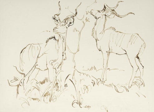 Zakkie Eloff; Kudu