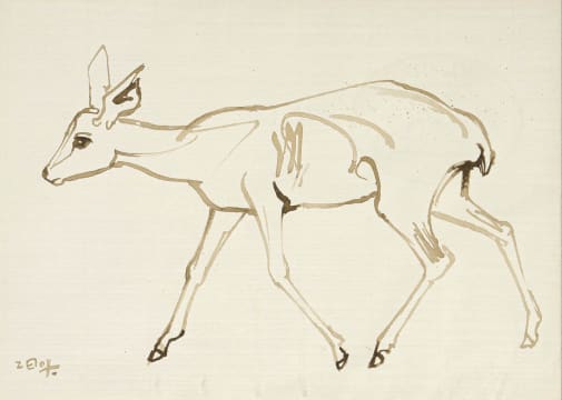 Zakkie Eloff; Baby Buck II