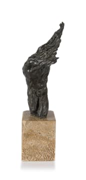 Caroline van der Merwe; Wild Flame Torso