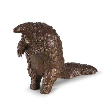 Bridget Randall; Pangolin 3