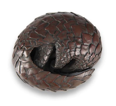 Bridget Randall; Pangolin sleeping