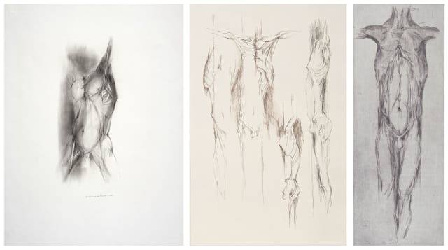 Caroline van der Merwe; Three Torso Studies, three