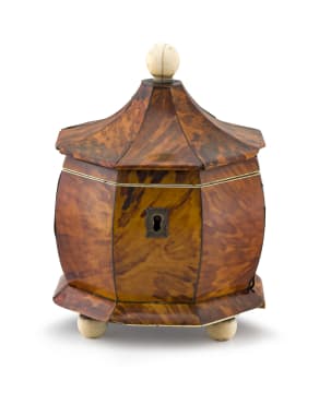 A Regency tortoiseshell and ivory tea caddy