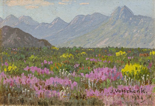 Jan Ernst Abraham Volschenk; Spring Flowers, Namaqualand