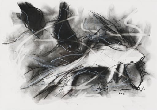 Riaan van Zyl; Gold Fish I