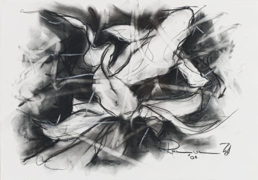 Riaan van Zyl; Gold Fish II
