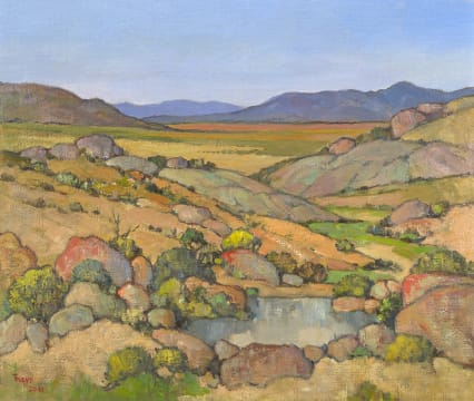 Conrad Theys; Shortly after the Rain, Namaqualand