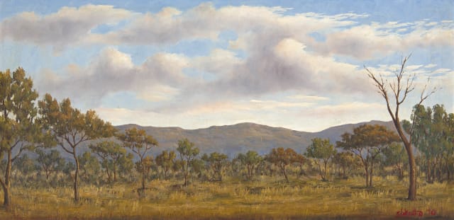 Simon Moroke Lekgetho; Bushveld Landscape