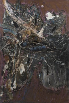 Christo Coetzee; Violet