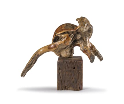 Ludwig Strydom; The Monkey (In Some of Us)