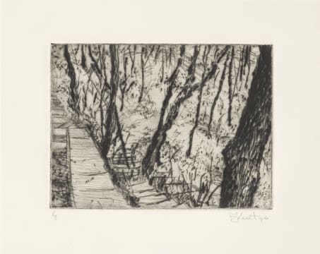 William Kentridge; Woods