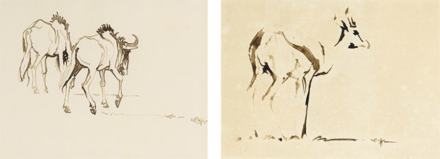 Zakkie Eloff; Twee Wilde Beeste (Two Wildebeest); Springbok, two