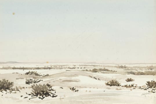 Walter Westbrook; Namib Scene