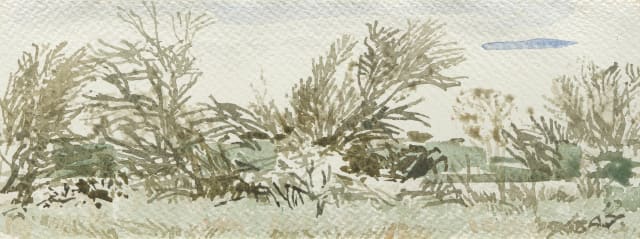 Adolph Jentsch; Bosveld (Bushveld)
