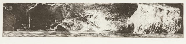 Dirk Meerkotter; Wyse Landskap (Extensive Landscape)