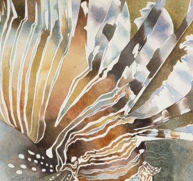 Leigh Voigt; Devil Fish II