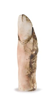 Michael Heyns; Vis (Fish)