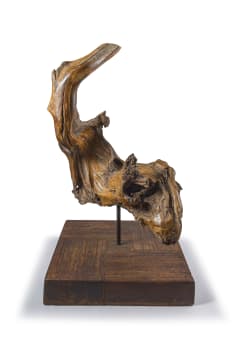 Ludwig Strydom; Rhythm Fish