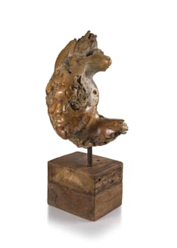 Ludwig Strydom; Blinded by Perception