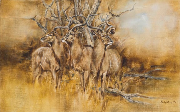Vic Guhrs; Trio of Kudu Bulls
