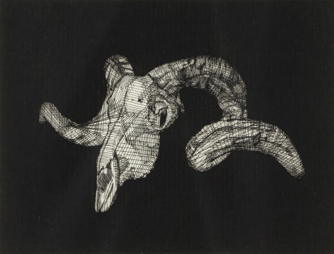 Bevan de Wet; Study 15 (Suspended Skull)