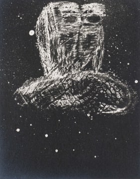 Robert Hodgins; Night Bird
