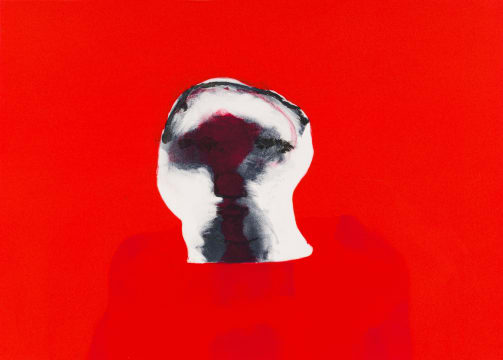 Robert Hodgins; Burning Head