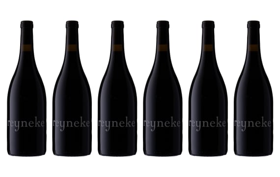 Reyneke; Reserve Red; 2010; 6 (1 x 6); 750ml