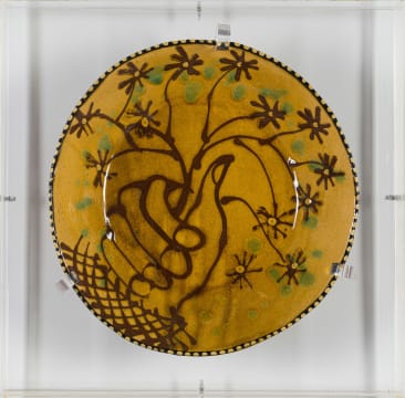 Hylton Nel; Bowl
