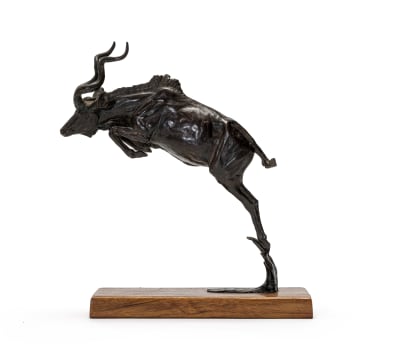 Arend Eloff; Leaping Kudu