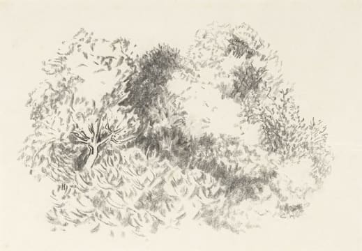 Cecil Higgs; Garden at Onrus