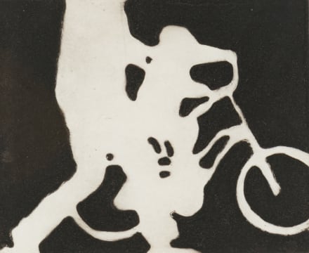 Fiona Pole; Bicycle
