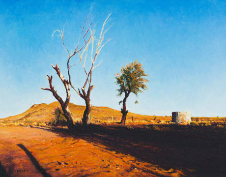 Walter Meyer; Dirt Road, Karoo