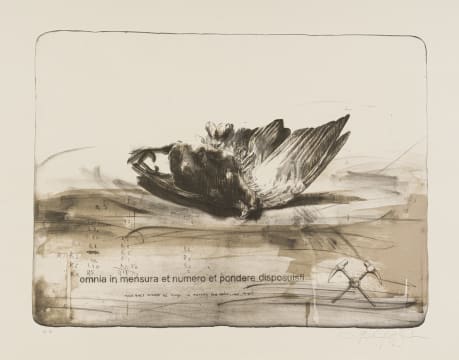 Faith XLVII; Omnia in Mensura et Numero et Pondere Disposuisti