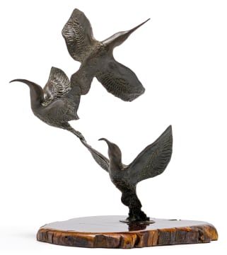 Robert (Bobby) Lawrence; Sunbirds