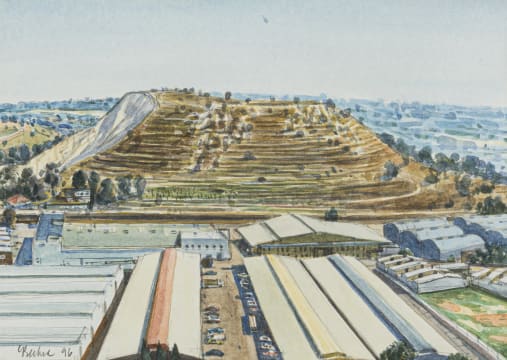 Carl Becker; Mine Dump West of Johannesburg CBD