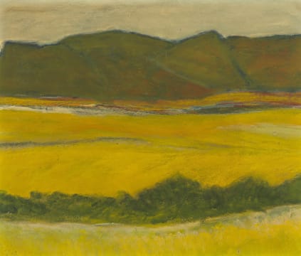 Herman van Nazareth; Landscape with Yellow Fields