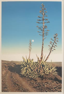 Joshua Miles; Full Moon Agave