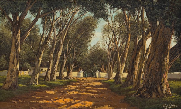 Tinus de Jongh; Avenue of Blue Gums, Cape
