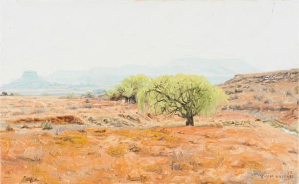 Sipho Ndlovu; September in Fourisburg (sic)