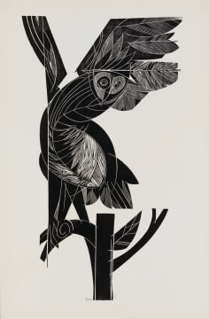 Raymond Andrews; Owl Taking Flight