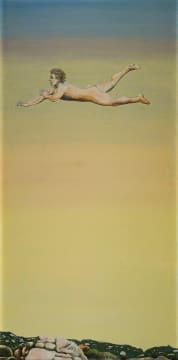 Aidan Walsh; Levitation over Concordia