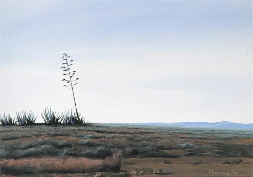 Peter Bonney; Karoo Sisal