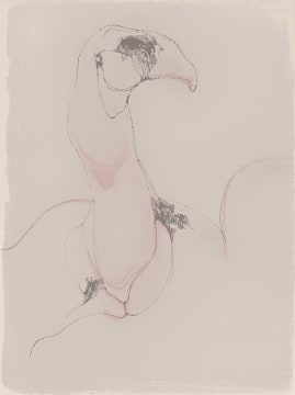 Judith Mason; Vulture